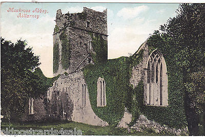 Muckross Abbey, Killarney