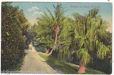 Collectables:Postcards:Topographical: Rest of World:Central America/ Caribbean