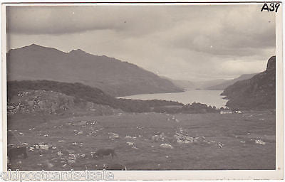 LOCH MAREE - WESTER ROSS - REAL PHOTO POSTCARD (ref 1761)