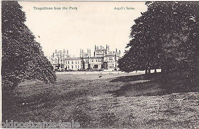 TREGOTHNAN FROM THE PARK - OLD POSTCARD (ref 3501)