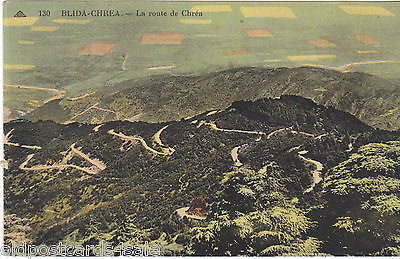 BLIDA-CHREA - LA ROUTE DE CHREA - OLD POSTCARD (ref 4276/14)