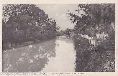 GABES, TUNISIA - L'OUED DU JARDIN PUBLIC ET LA PASSERELLE