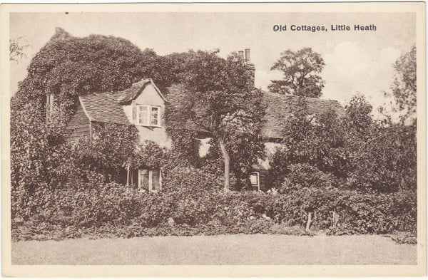 OLD COTTAGES, LITTLE HEATH - OLD ESSEX POSTCARD (ref 4184/20)