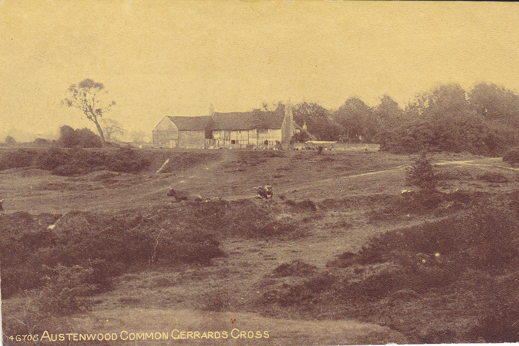 Old postcard of Austenwood Common, Gerrards Cross in Buckinghamshire