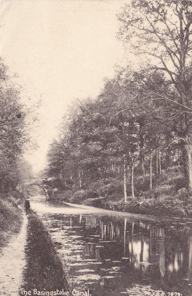 1911 postcard of The Basingstoke Canal, Hampshire