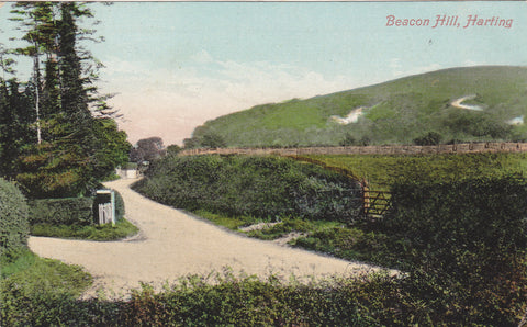 Early 1900s postcard of Beacon Hill, Harting in Sussex