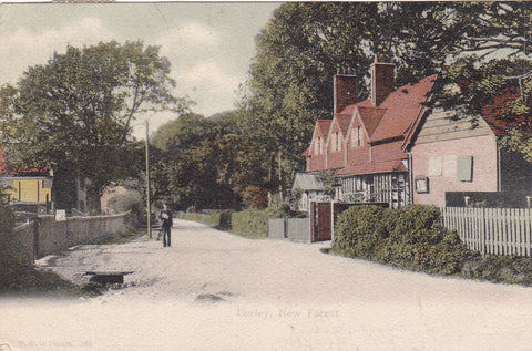 BURLEY, NEW FOREST - OLD HAMPSHIRE POSTCARD (ref 6280/20)
