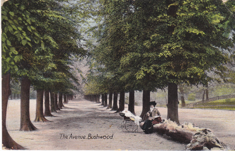 Old postcard of The Avenue, Bushwood, London