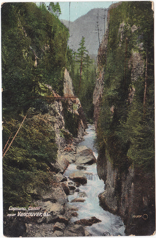 1912 postcard of Capilano Canyon nr Vancouver, B.C.