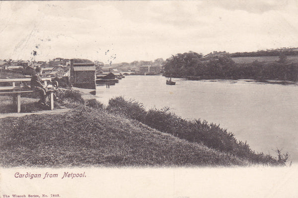 1903 postcard of Cardigan from Netpool