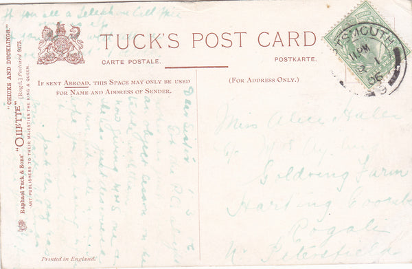 DON'T TOUCH IT! CHICKS AND BEETLE? EARLY 1900s TUCK POSTCARD (ref 3634/21/RW)