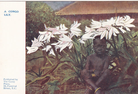 ld postcard entitled A Congo Lily - with African child
