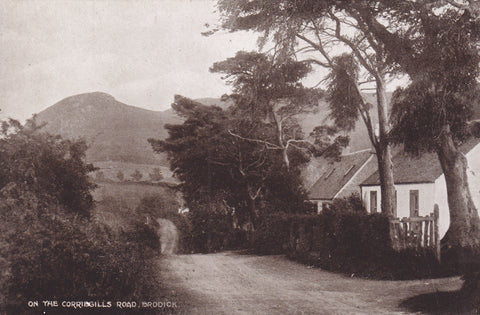 ON THE CORRIEGILLS ROAD, BRODICK - ISLE OF ARRAN - OLD POSTCARD (ref 3239/19)