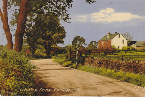 Whitley Lane, Ecclesfield, old Yorkshire postcard