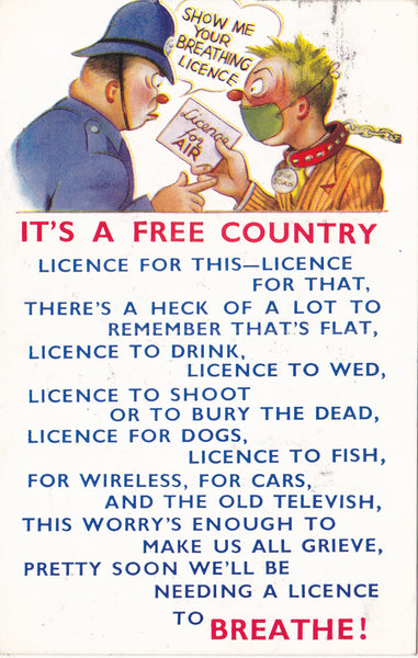 IT'S A FREE COUNTRY - VINTAGE COMIC POSTCARD BY BAMFORTH (ref 3606/21/RW)