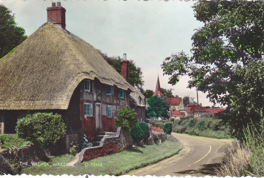 Old postcard of The Village, Harting in Sussex