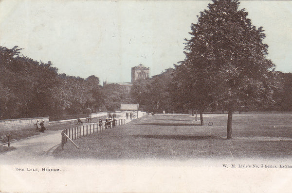 THE SELE, HEXHAM , 1905 POSTCARD, WRONGLY TITLED