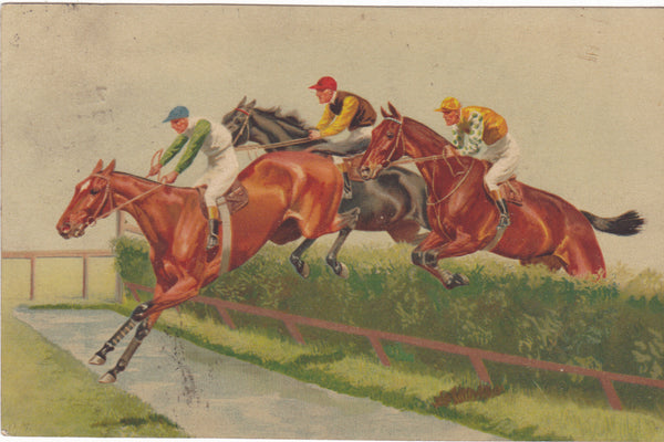 horse racing over jumps