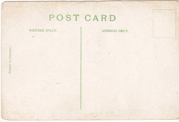 WHO SAID LIAR? - VINTAGE HUMOUR POSTCARD BY SPURGEON (ref 1548/16)
