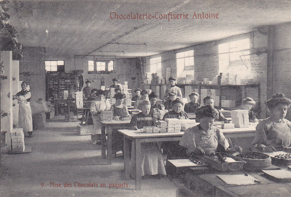 Postcard, chocolate packers at a factory in Belgium