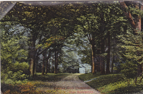 Old postcard of Paradise Walk, Hackwood, nr Basingstoke