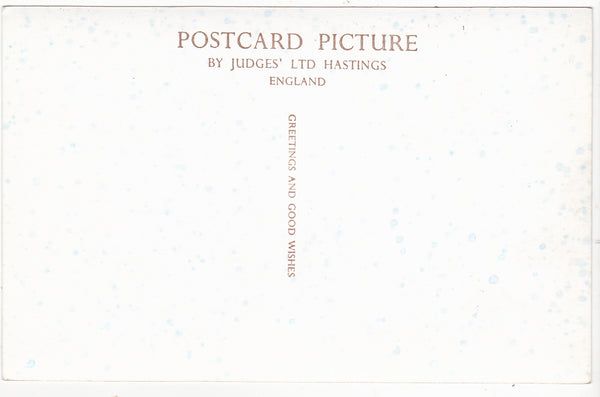 PINHAM BRIDGE AND CASTLE, LUDLOW - OLD REAL PHOTO POSTCARD (ref 6604/20)
