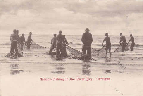 1904 postcard of Salmon Fishing in River Tivy, Cardigan
