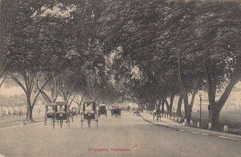 WW1 era postcard of Singapore, Esplanade
