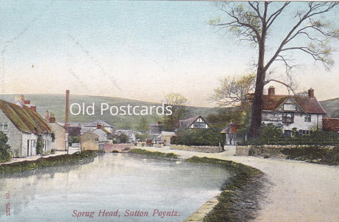 SPRUG HEAD, SUTTON POYNTZ - CANAL - OLD DORSET POSTCARD