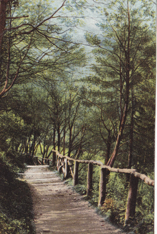 Stapleton Glen, Bristol
