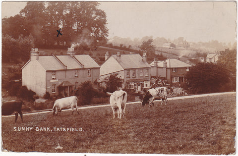 1907 real photo postcard of Sunny Bank, Tatsfield, in Surrey