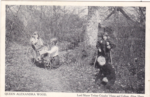 QUEEN ALEXANDRA WOOD, LORD MAYOR TRELOAR CRIPPLES' HOME & COLLEGE, ALTON