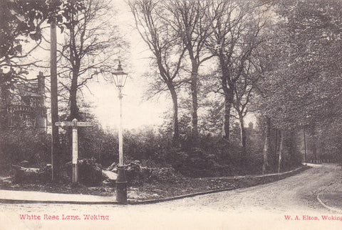 WHITE ROSE LANE, WOKING - 1904 POSTCARD (ref 1523/19)